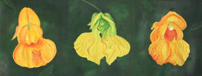 Original Floral Oil Painting on Canvas in Yellows and Greens