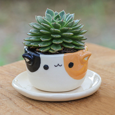 Handcrafted Cat-Themed Ceramic Mini Flower Pot with Saucer