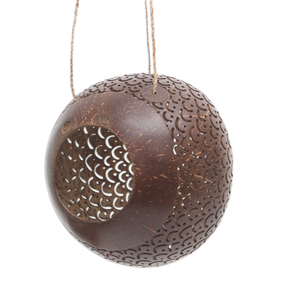 Coconut Shell Hanging Birdhouse from Indonesia