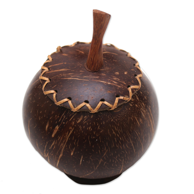 Coconut Shell Decorative Box Hand Carved in Bali