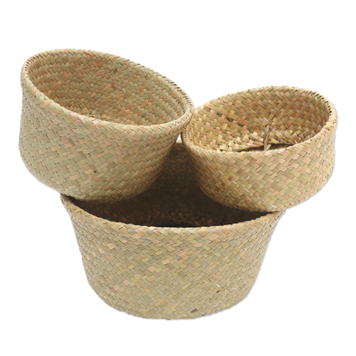 Hand Crafted Natural Fiber Baskets (Set of 3)