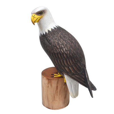 Suar and Teak Wood Eagle Sculpture Hand-Carved in Indonesia