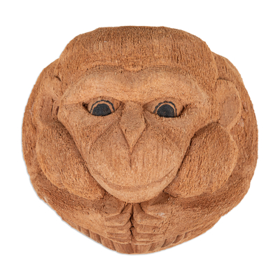 Hand-Carved Monkey-Themed Coconut Shell Wall Planter