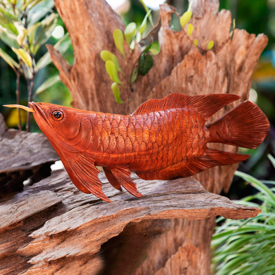 Hand-Carved Suar Wood Arowana Fish Sculpture from Bali