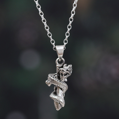 Dragon-Themed Sterling Silver Pendant Necklace from India