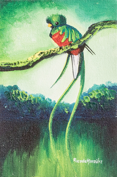 Signed Acrylic and Oil Painting of Quetzal and Waterfall