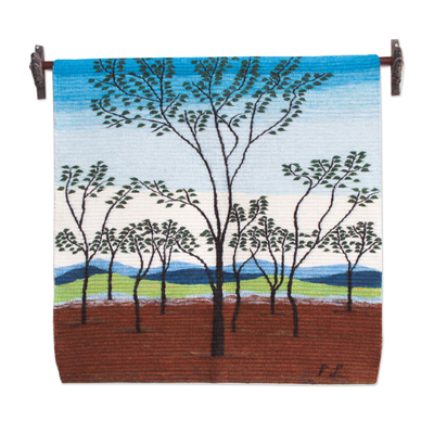 Andes Handwoven Wool Tapestry of a Landscape