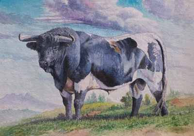 Signed Watercolor Painting of a Bull from Peru