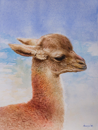 Signed Original Watercolor Baby Alpaca Painting from Peru
