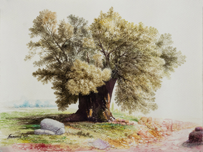 Watercolor Tree Painting from Peruvian Artist