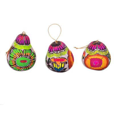 Handcrafted Andean Gourd Ornaments with Flowers (Set of 3)