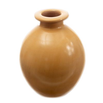 Chulucanas Ceramic Decorative Vase Handmade in Peru