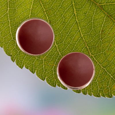Round Silver Button Earrings with Natural Jasper Gemstones