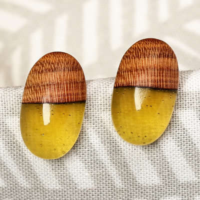 Apricot Wood and Yellow Resin Oval Button Earrings