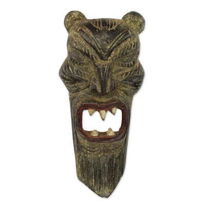Hand Crafted Sese Wood African Lion Mask from Ghana