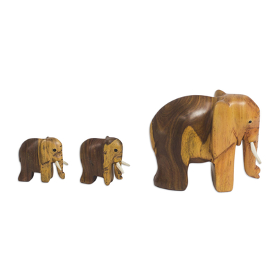 Ebony Wood Elephant Figurines from Ghana (Set of 3)