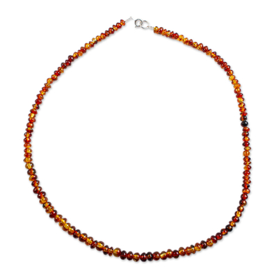 Natural Mexican Amber Beaded Strand Long Necklace