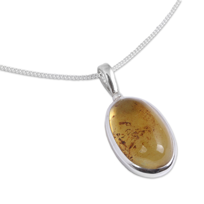 Oval Amber Pendant Necklace from Mexico