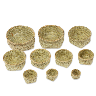 Set of 10 Natural Fiber Braided Baskets Crafted in Mexico