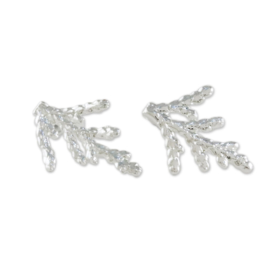 Silver Plated Natural Cypress Leaf Earrings from Thailand