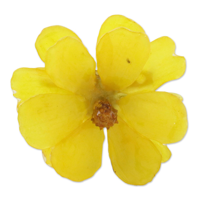 Natural Cosmos Flower Brooch in Goldenrod from Thailand