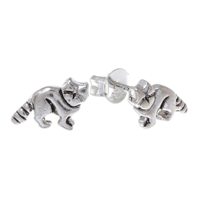 Sterling Silver Raccoon Stud Earrings from Thailand