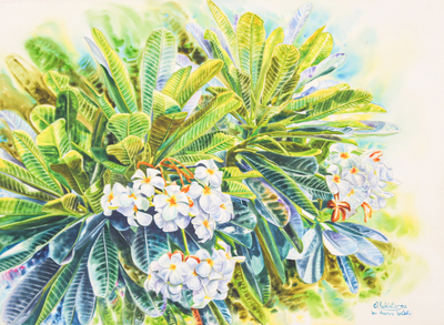 Watercolor Impressionist Painting of Frangipani Flowers