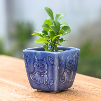 Cat-Themed Crackled-Finished Blue Ceramic Mini Flower Pot