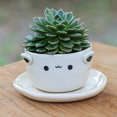 Cat-Themed Ceramic Mini Flower Pot with Saucer in Ivory