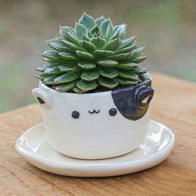 Cat-Themed Ivory Black Ceramic Mini Flower Pot with Saucer