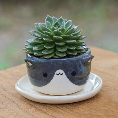 Cat-Themed Ivory Grey Ceramic Mini Flower Pot with Saucer