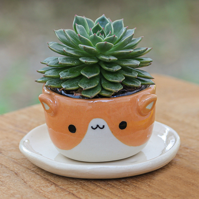 Cat-Themed Ivory Orange Ceramic Mini Flower Pot with Saucer