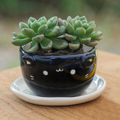 Cat-Themed Black Ceramic Mini Flower Pot with Ivory Saucer