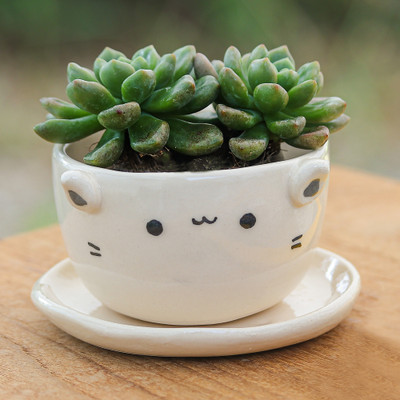 Handcrafted Ivory Ceramic Cat Mini Flower Pot with Saucer