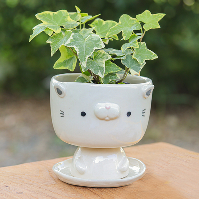 Cat-Shaped Ivory Ceramic Mini Flower Pot with Saucer